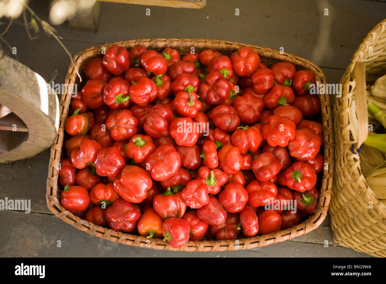 A Shaker style basket is filled with red peppers from the fall harvest. Stock Photo