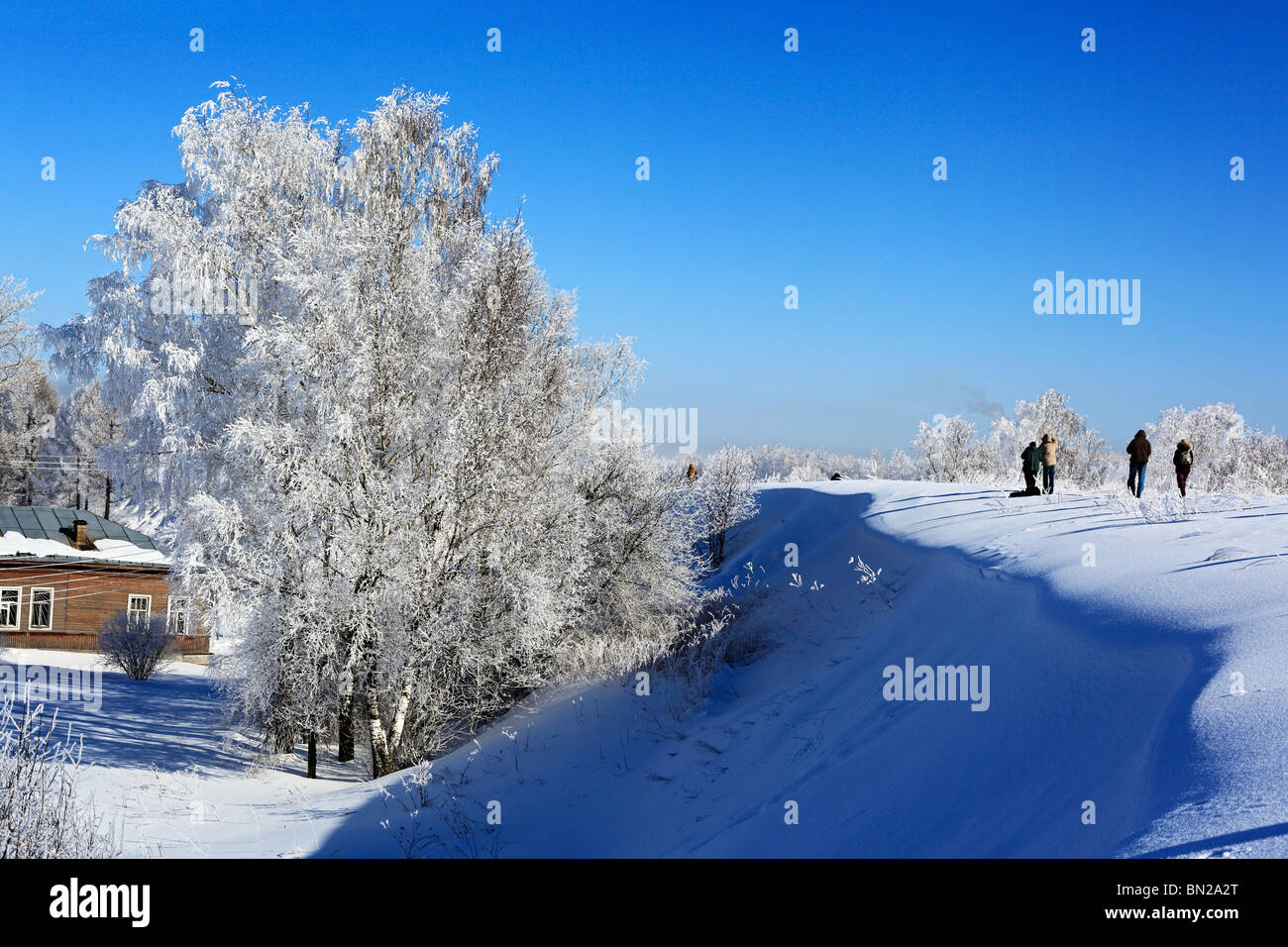 Tree under snow, Belozersk, Vologda region, Russia Stock Photo