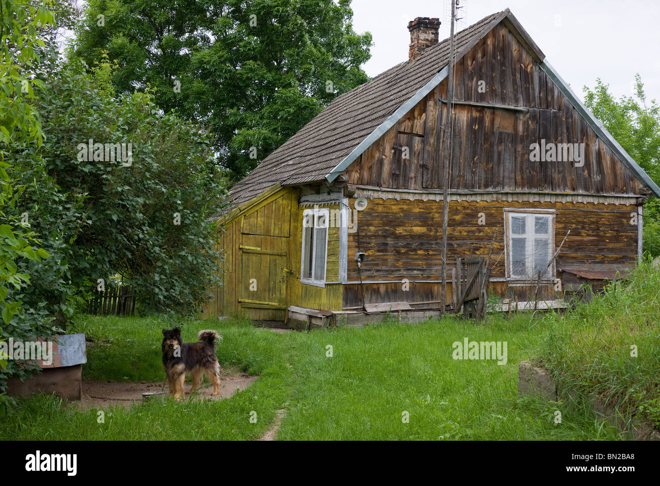 An old cottage in a farming area with dog tied up at entrance to give notice of visitors. Stock Photo