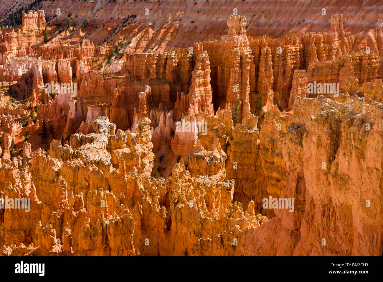bryce canyon national park sunrise point