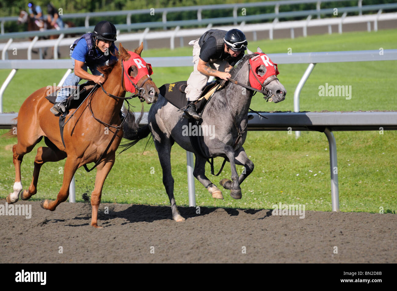 Thoroughbred horse and exercise jockey at the Keeneland horse racing