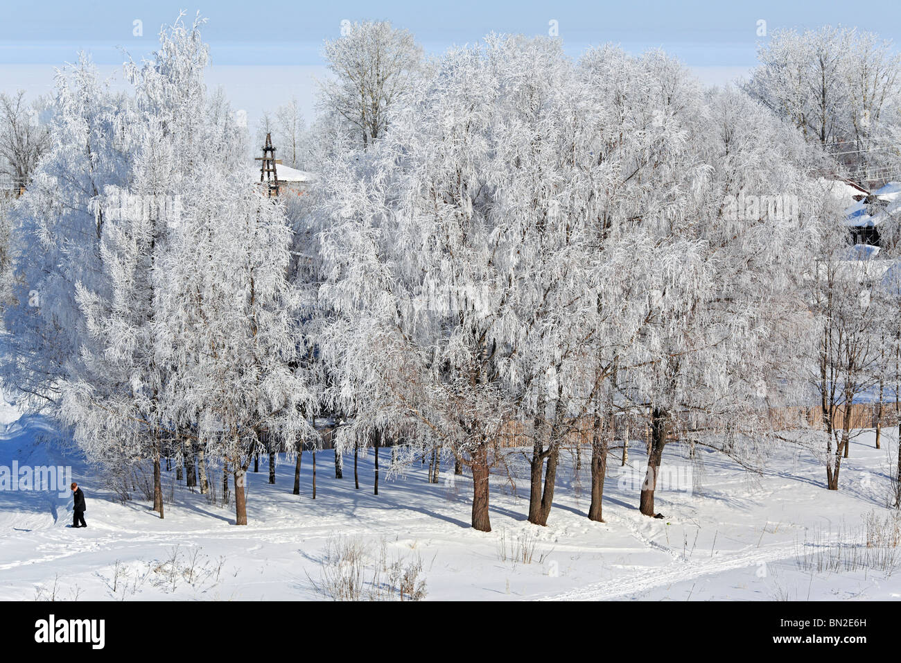 Tree under snow, Belozersk, Vologda region, Russia Stock Photo