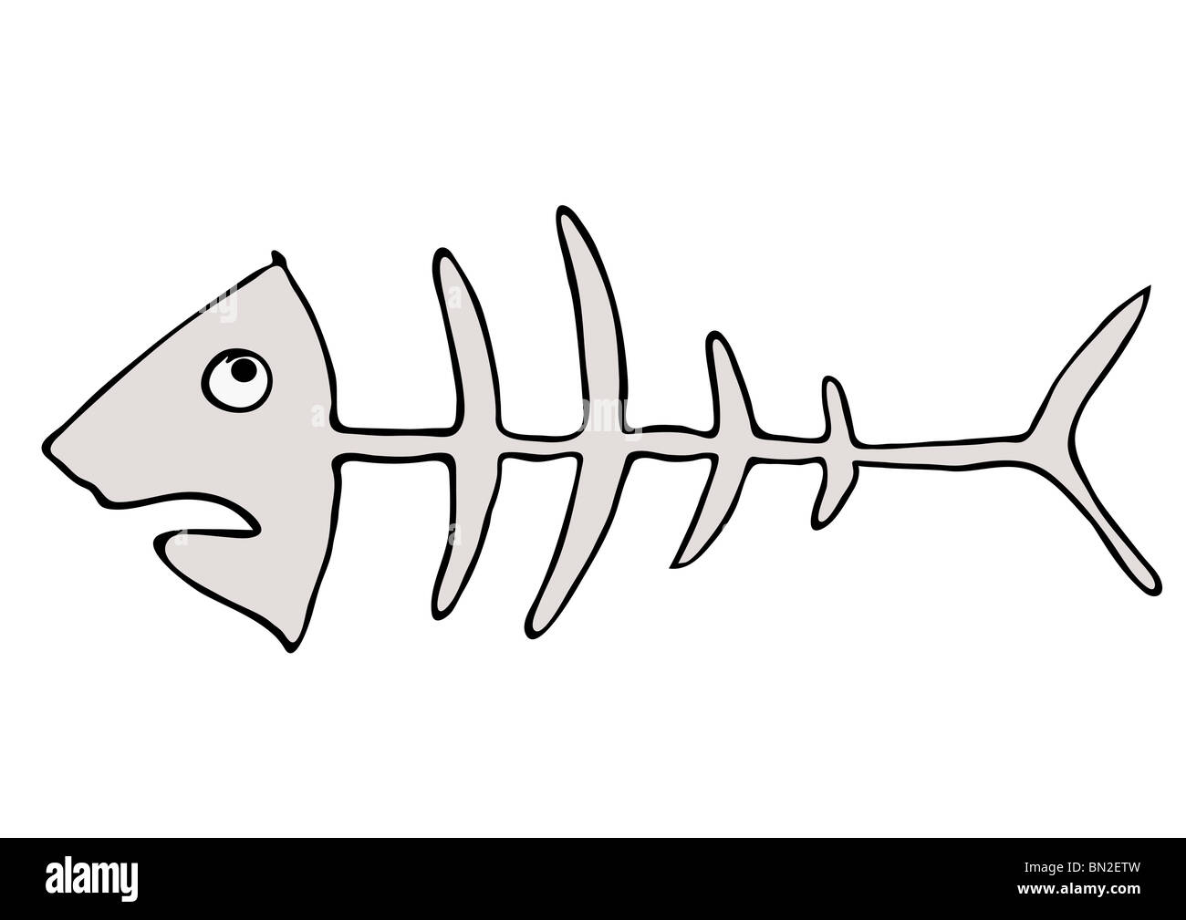 fish skeleton Stock Photo