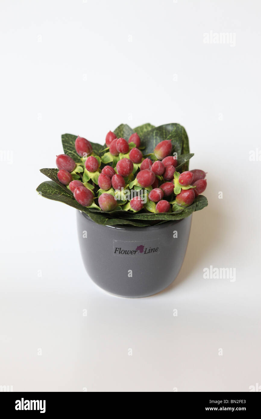 Silk flower on white background Stock Photo