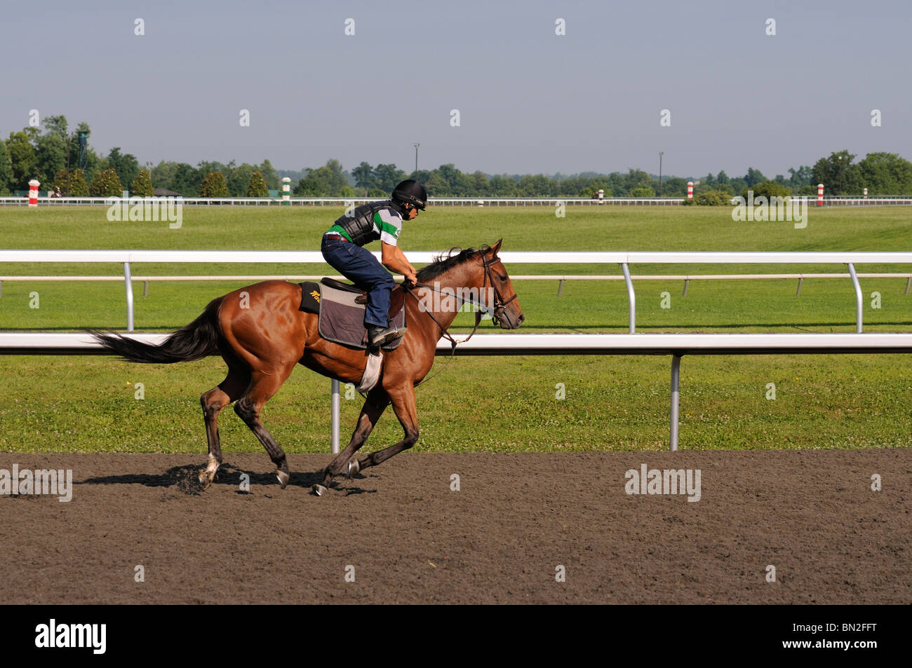 Thoroughbred horse and exercise jockey at the Keeneland horse racing track in Lexington, Kentucky USA Stock Photo