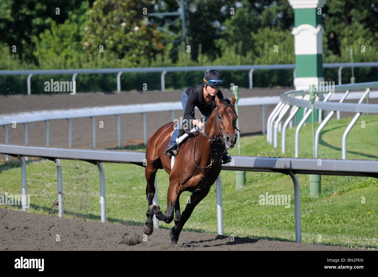Thoroughbred horse and girl exercise jockey at the Keeneland horse