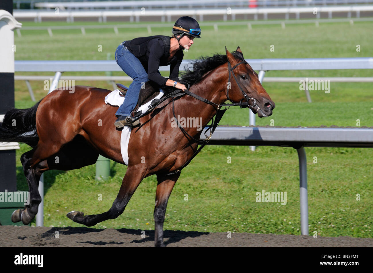 Thoroughbred horse and girl exercise jockey at the Keeneland horse racing track in Lexington