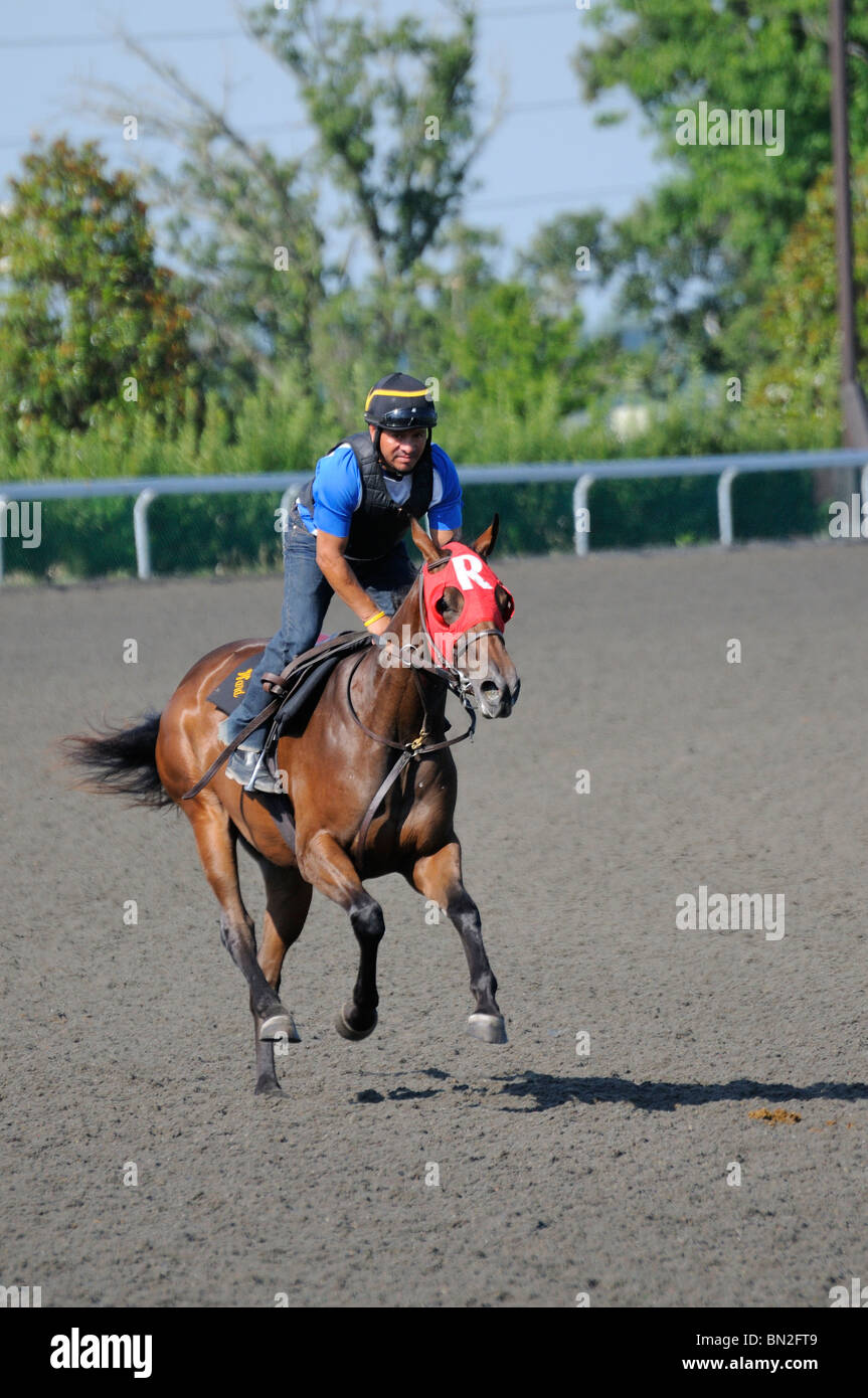 Thoroughbred horse and exercise jockey at the Keeneland horse racing