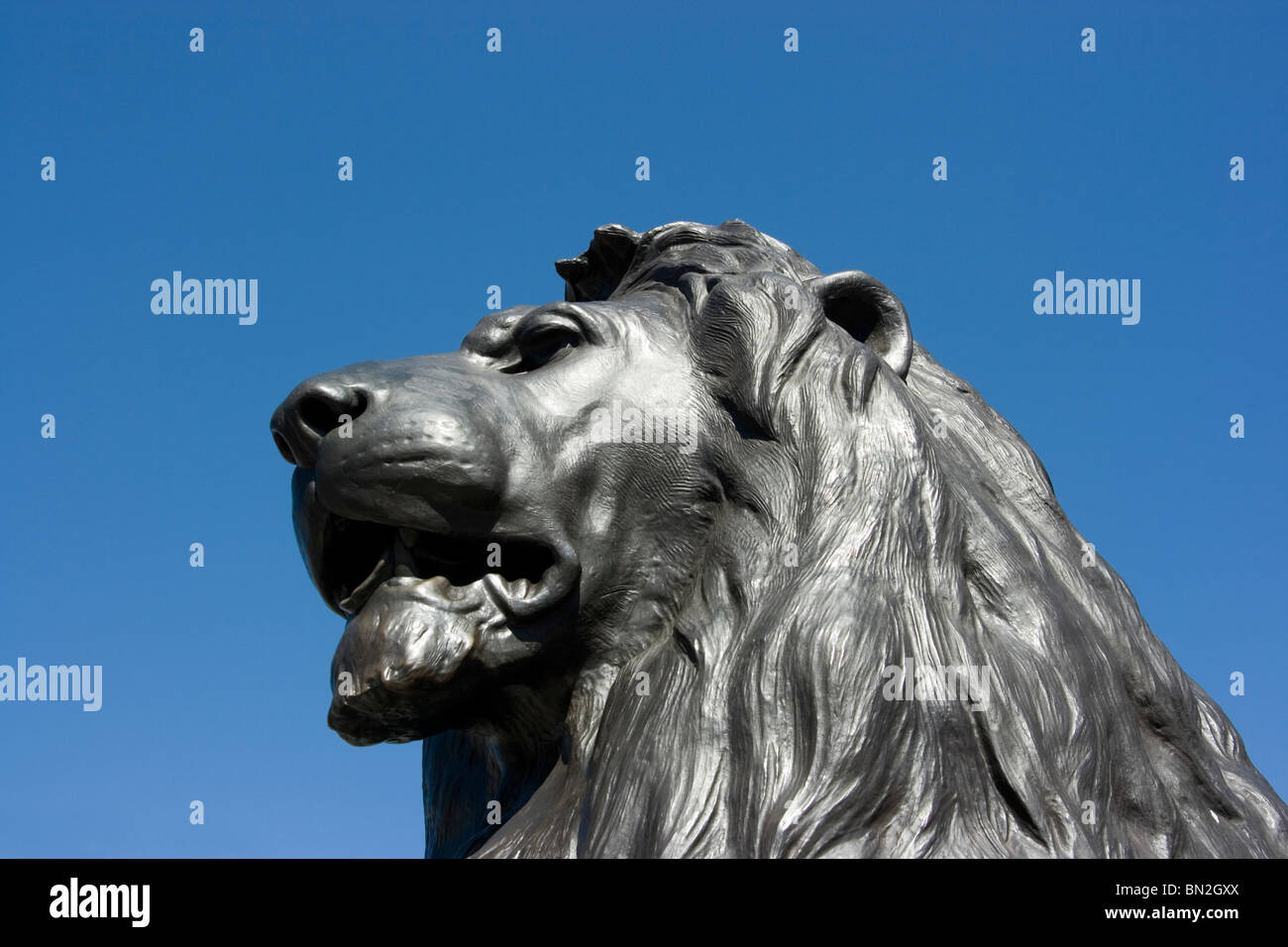 Sculpture head foot bronze hi-res stock photography and images - Alamy