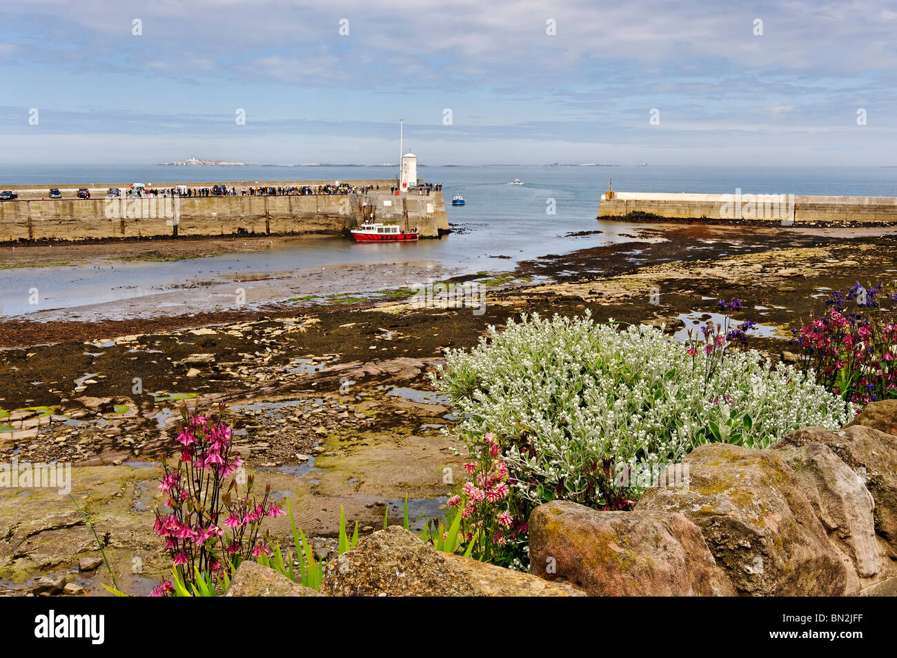 A view of Seahouses harbour in Northumberland Stock Photo Alamy