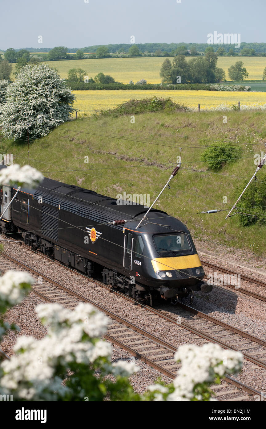 Grand Central railway's passenger train class 43 125 hst travelling at speed through the english countryside. Stock Photo