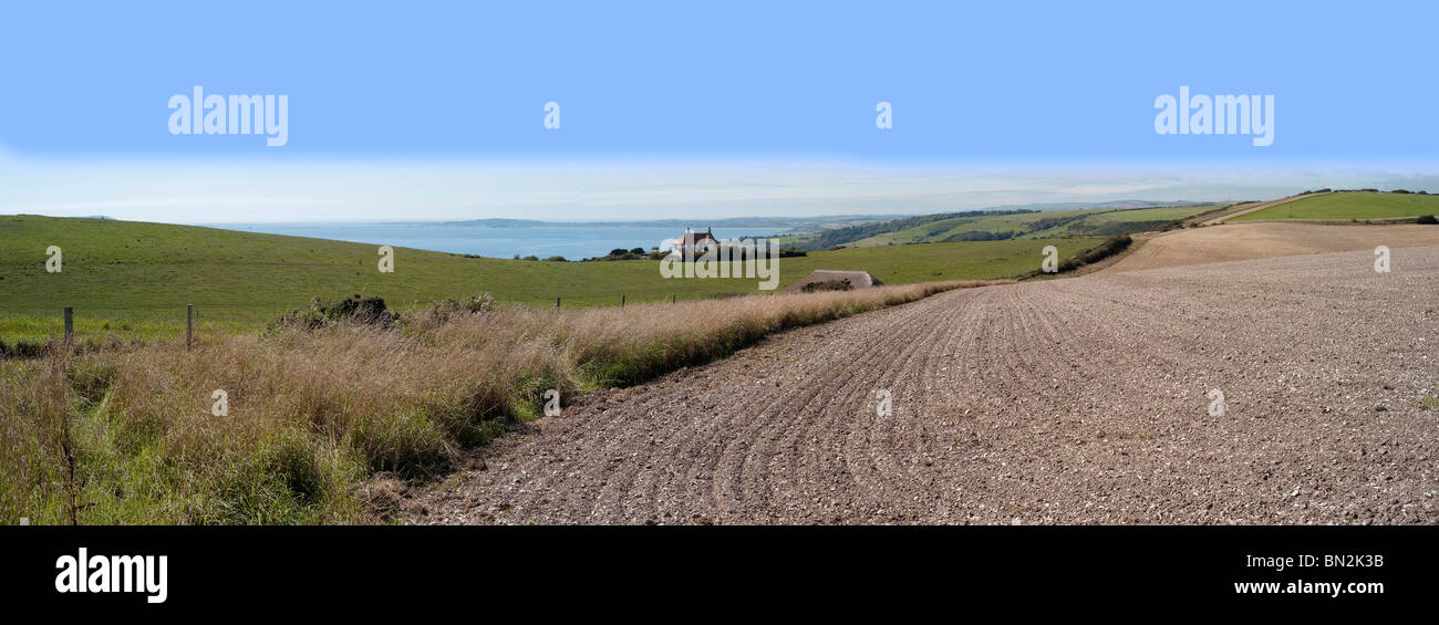 dorset agriculture farmland landscape fields farm Stock Photo Alamy