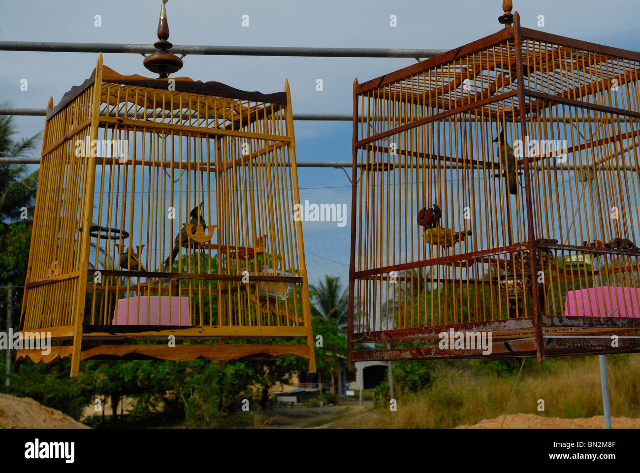 Bird cages in Takua Pa town, West of Thailand Stock Photo
