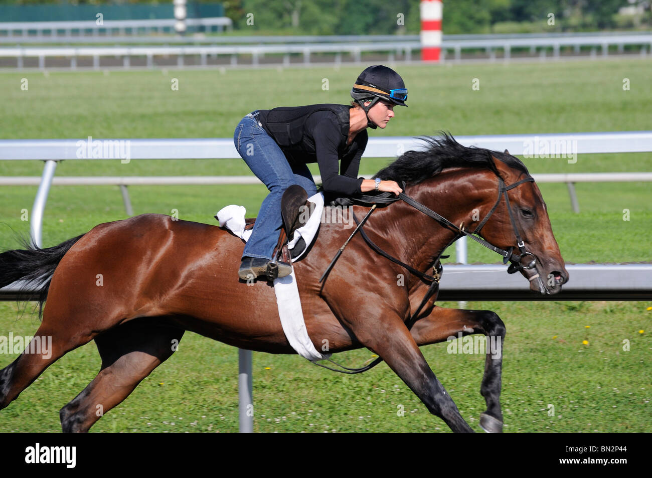 Thoroughbred horse and girl exercise jockey at the Keeneland horse