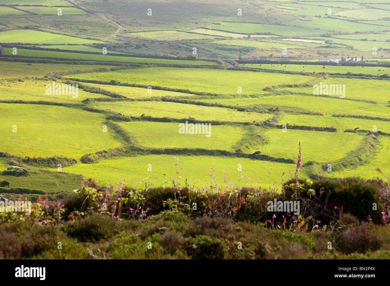 Ancient field boundaries near Bosigran near the Cornwall coast, UK. Stock Photo
