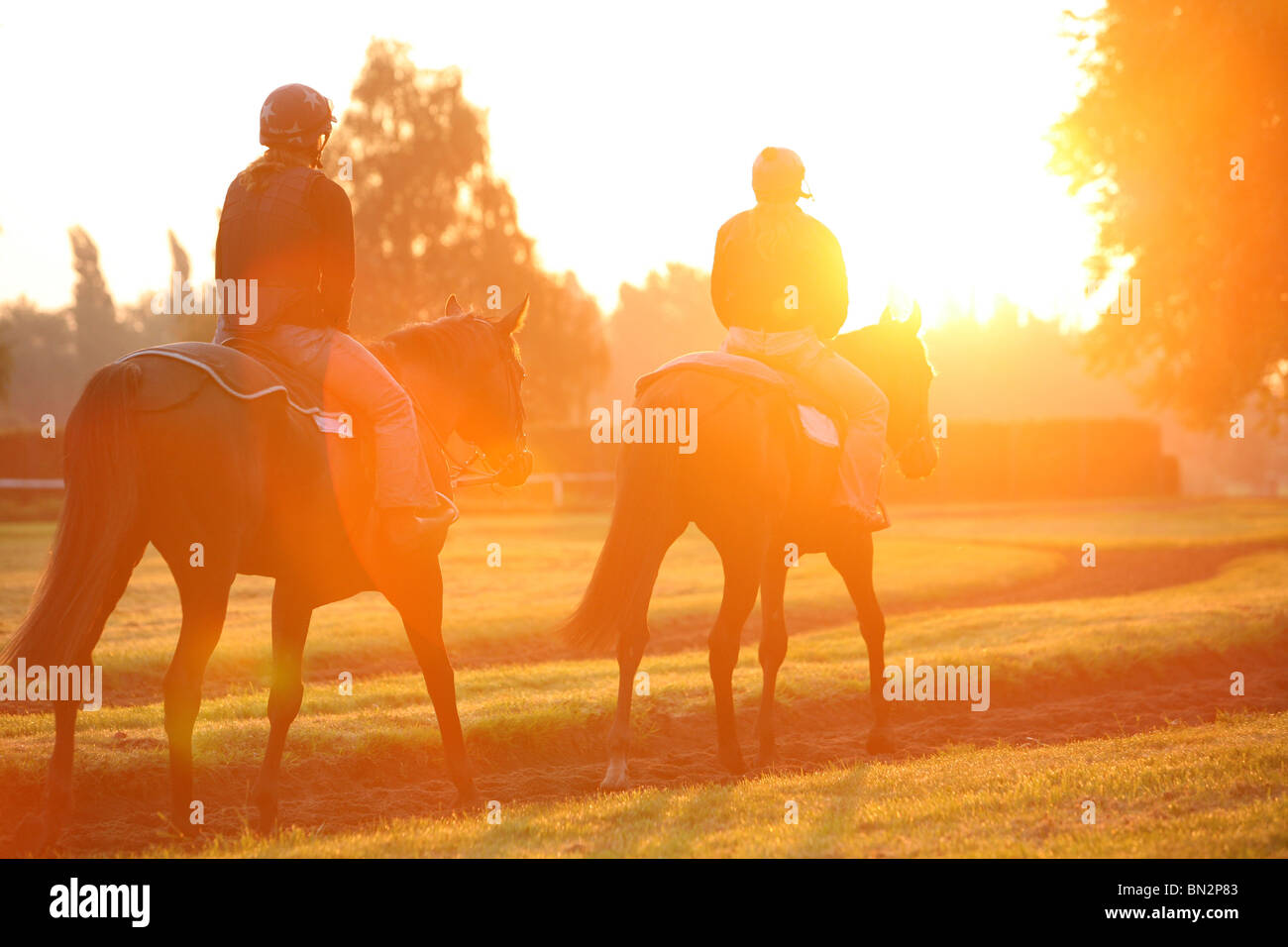 Horses and riders during a morning ride, Muelheim an der Ruhr, Germany Stock Photo