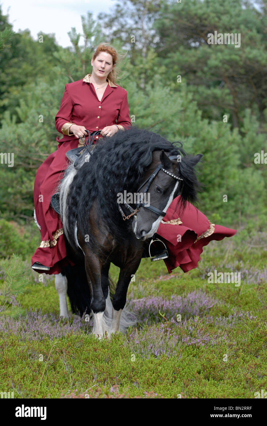 Baroque rider hi-res stock photography and images - Alamy
