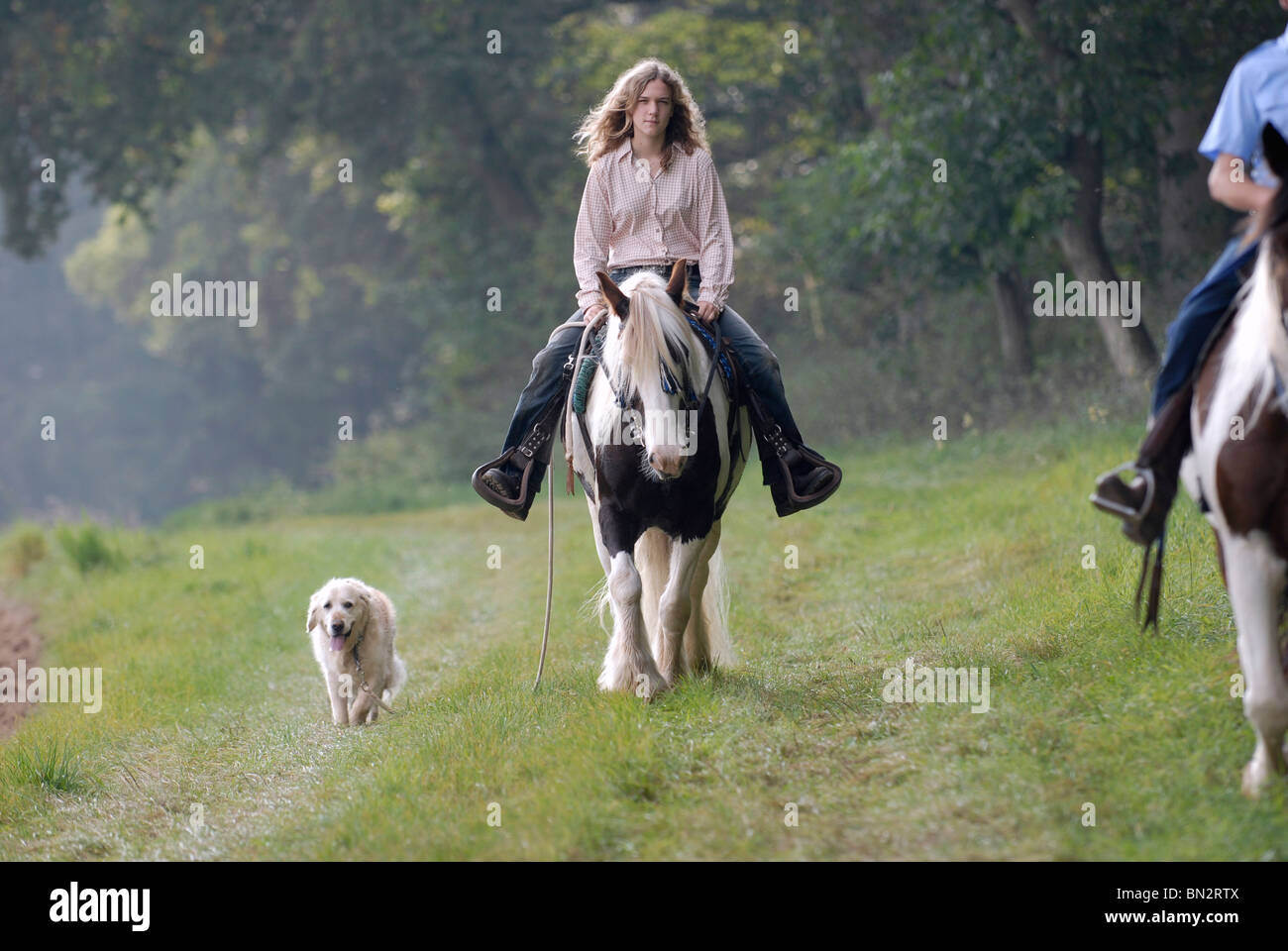 Riding golden retriever hi-res stock photography and images - Alamy