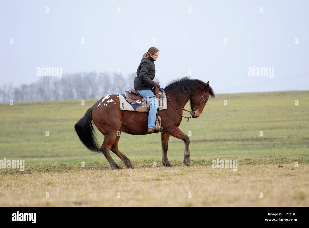Riding horse backwards hi-res stock photography and images - Alamy