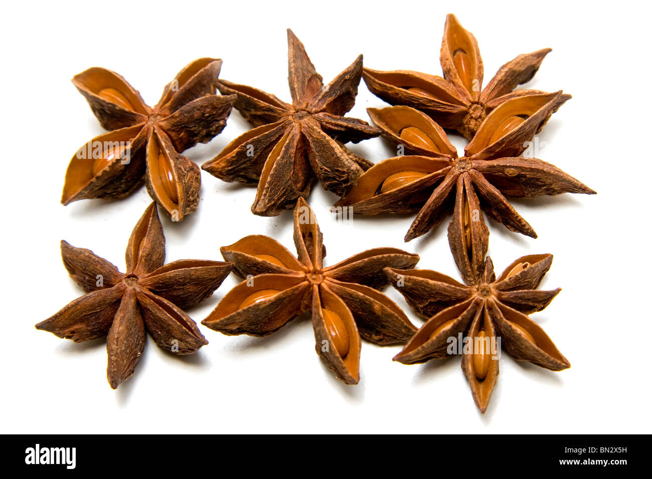star anise, seeds and pods on a white background Stock Photo Alamy