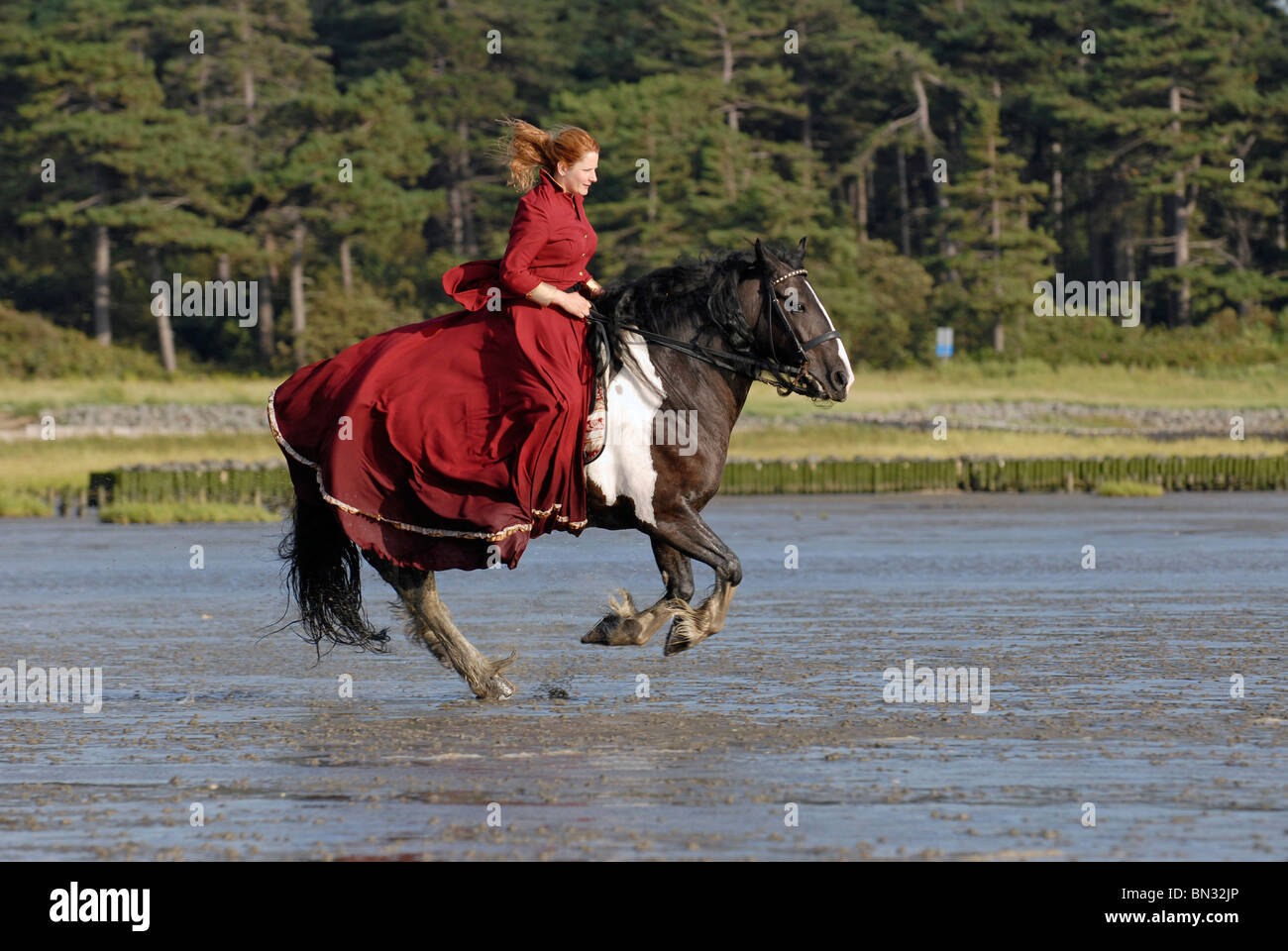 Baroque rider hi-res stock photography and images - Alamy
