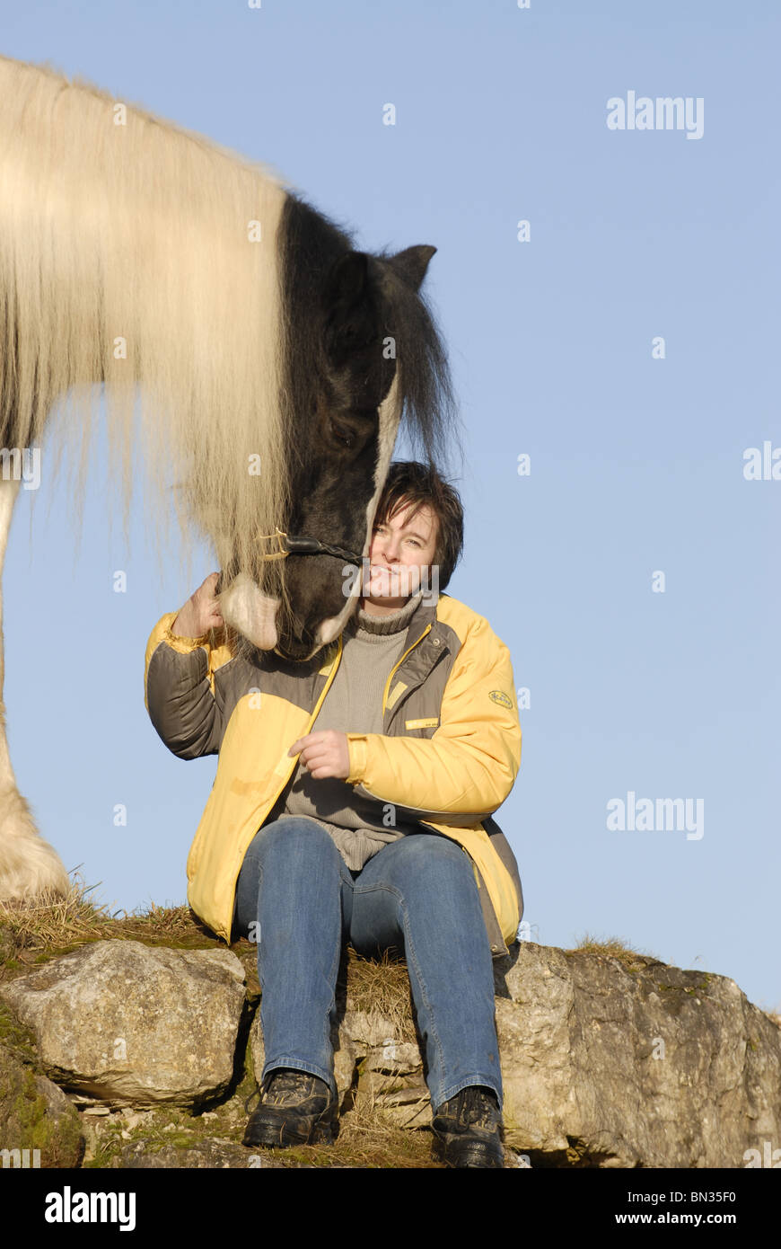 woman with Irish Tinker Stock Photo Alamy