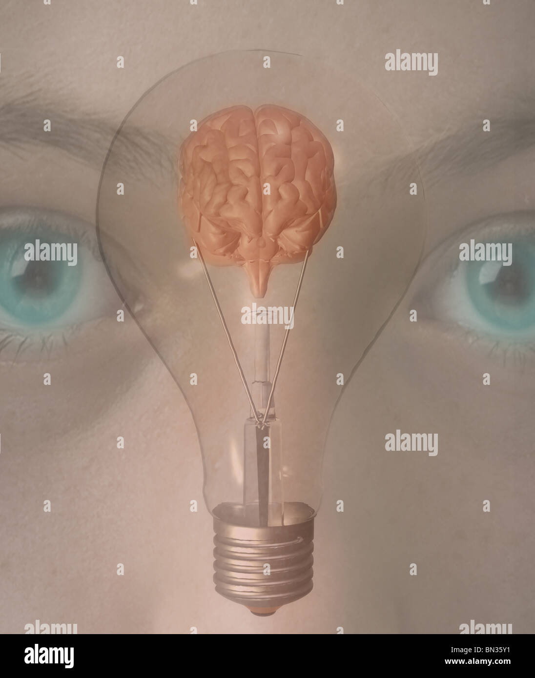 A light bulb and a human brain superimposed over a photograph of a girl Stock Photo