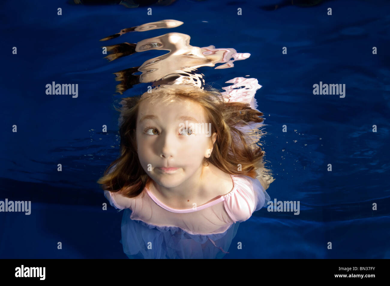Underwater funny hires stock photography and images Alamy