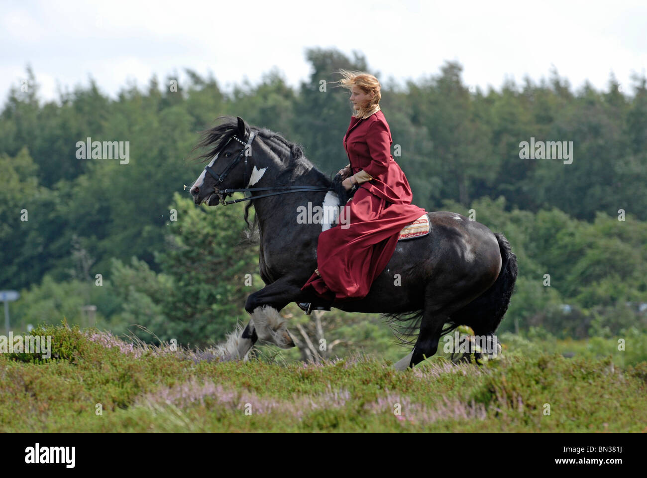 Animals show outside costume leisure hi-res stock photography and ...