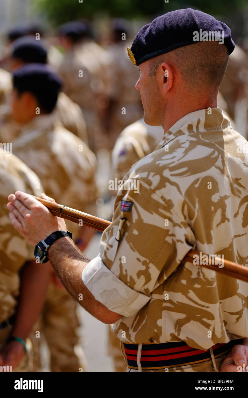 The Royal Logistic Corps on parade. Stock Photo