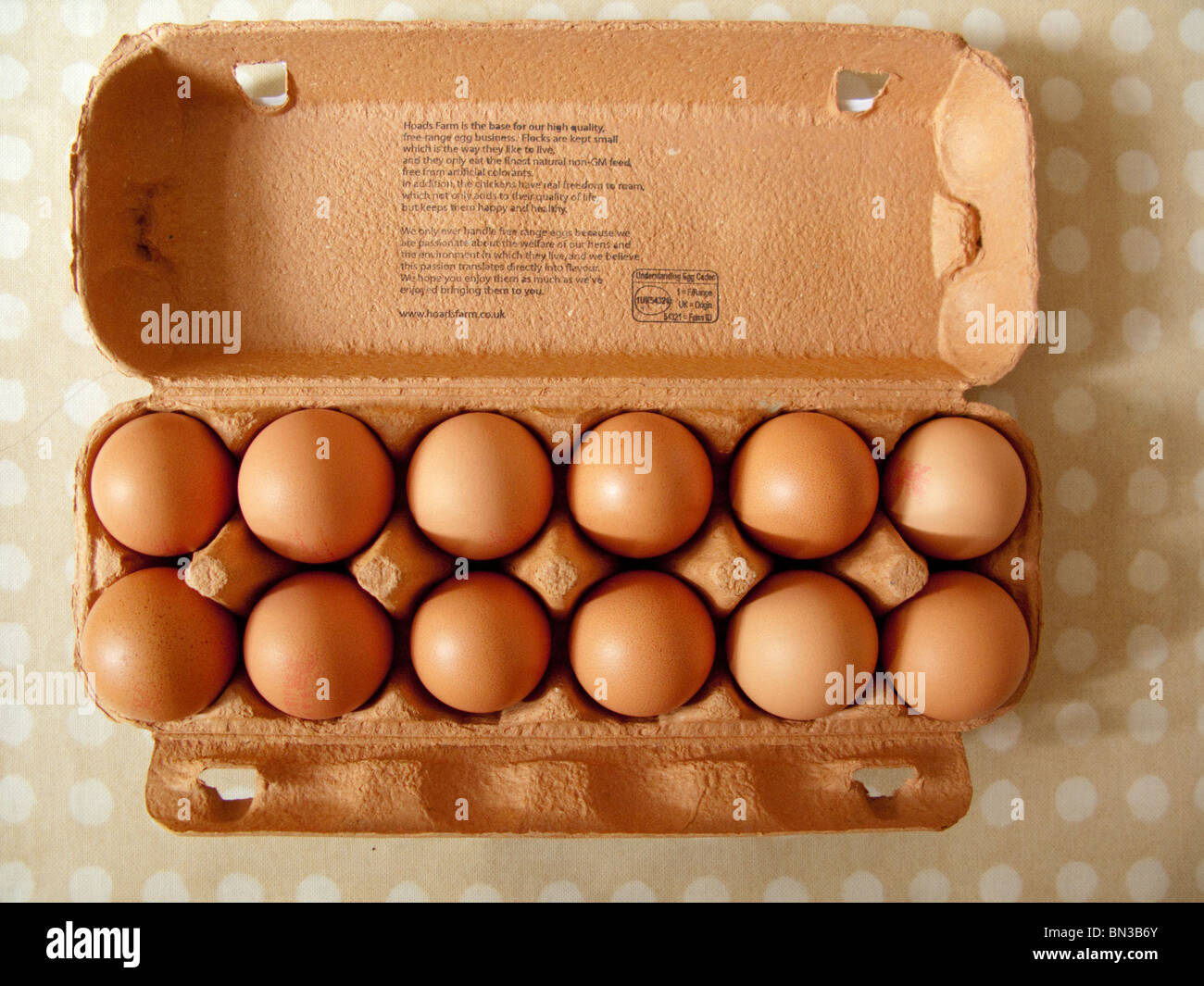 A dozen brown eggs in a carton on a kitchen table. Stock Photo