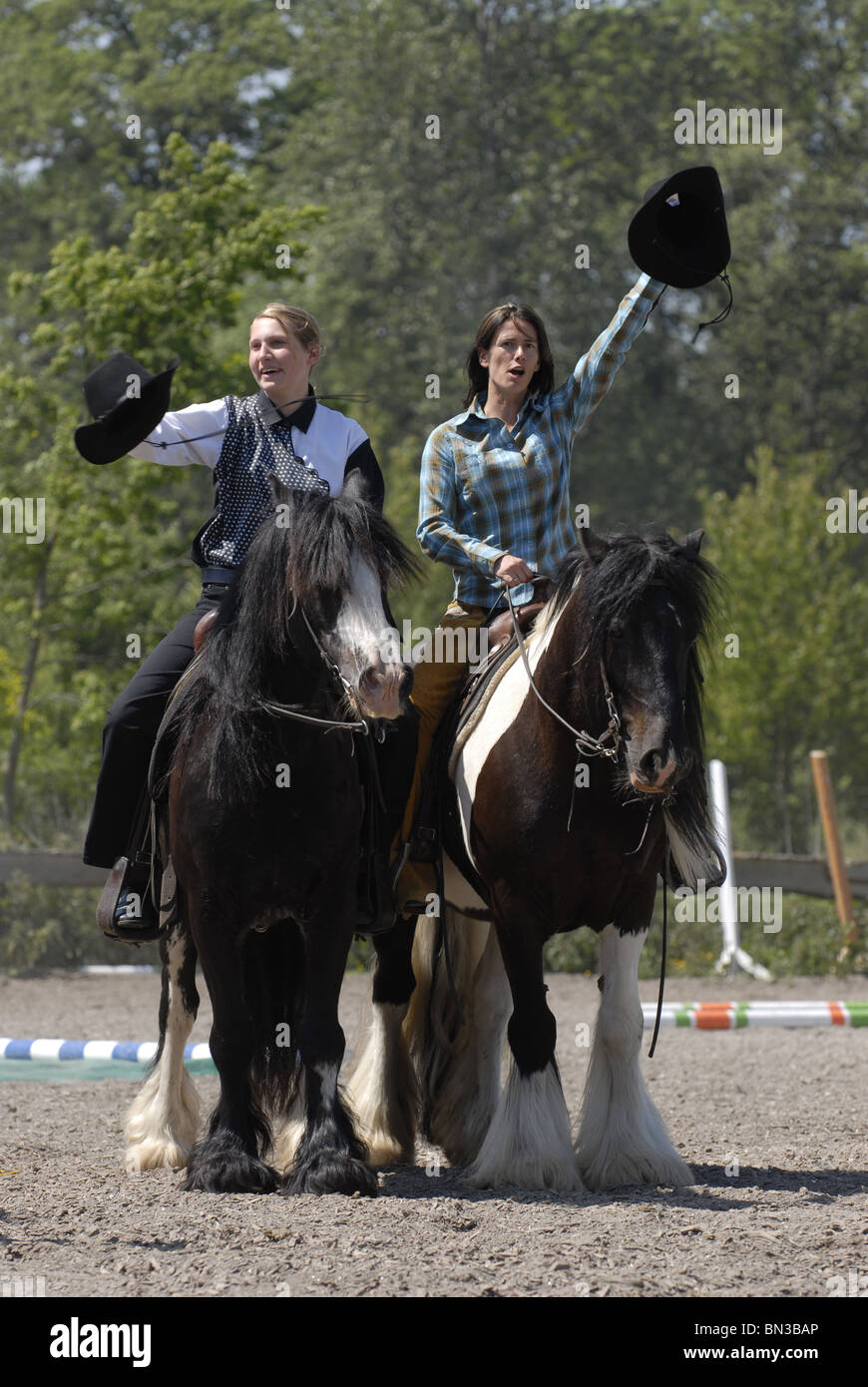 Two horse horses greeting hi-res stock photography and images - Alamy