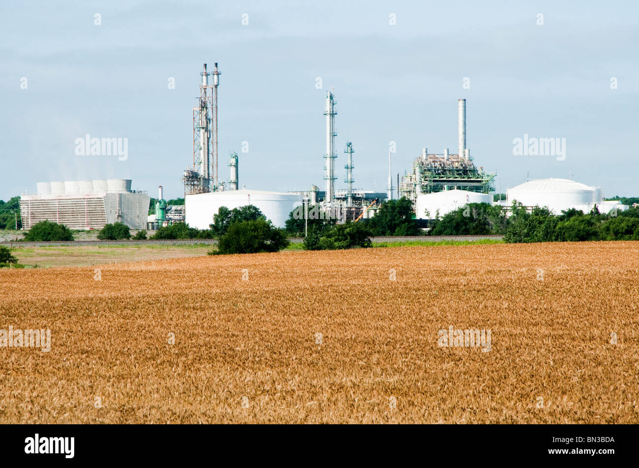 A Nitrogenous Fertilizer Plant in Oklahoma with a ripe wheat field in the foreground. Stock Photo