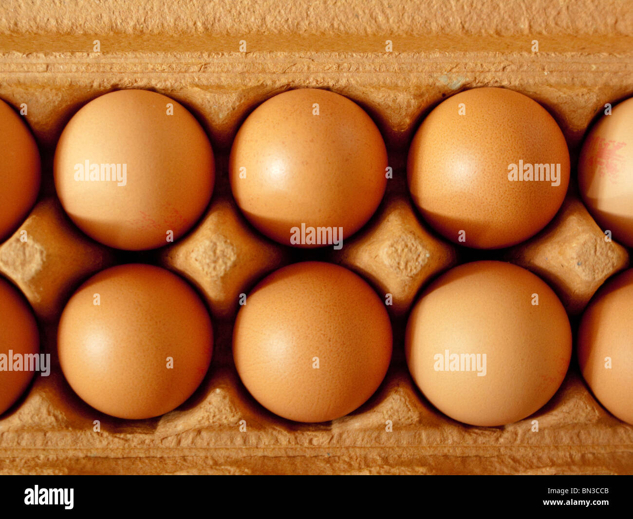 Eggs in a carton Stock Photo