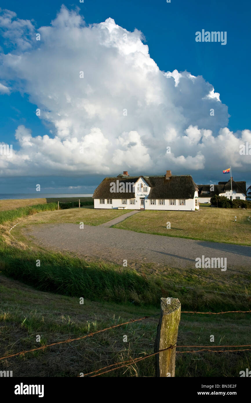 Reed-thatched houses, Rantum, Sylt, Germany Stock Photo