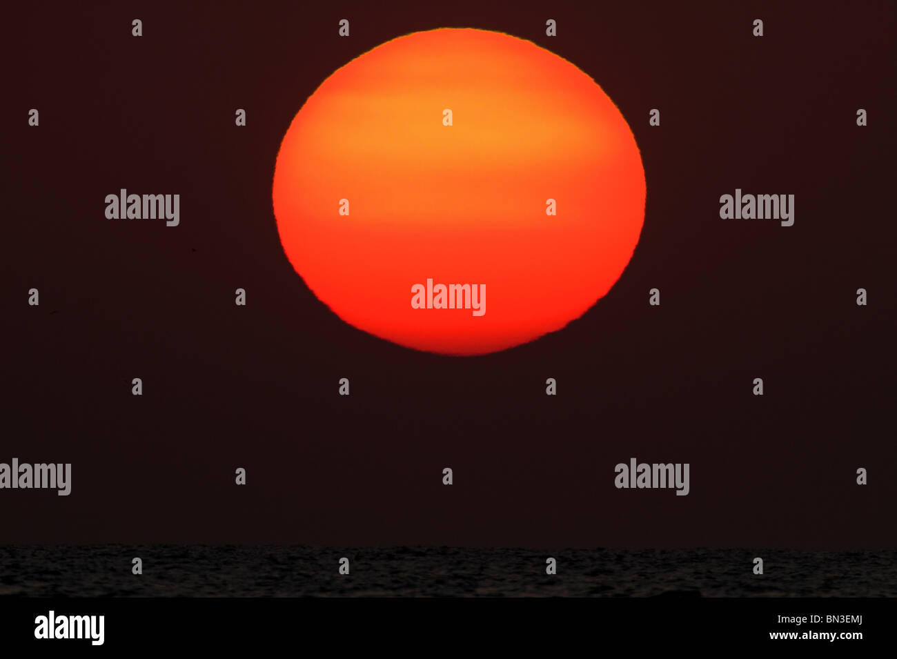 Red-coloured sun at sunset, close-up Stock Photo