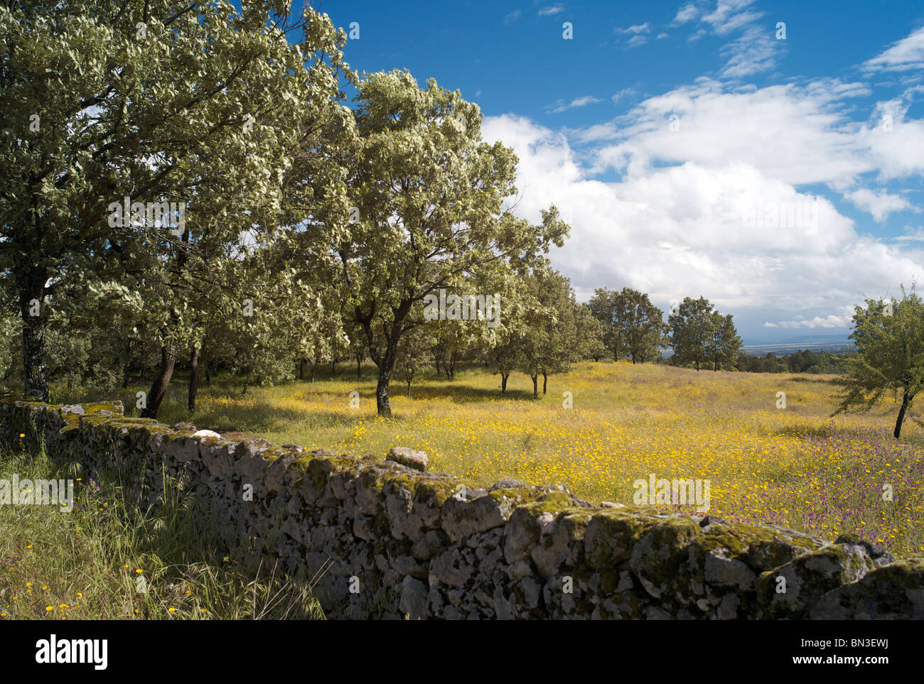 Nr. Villanueva de la Vera, La Vera, Extremadura, Spain Stock Photo Alamy