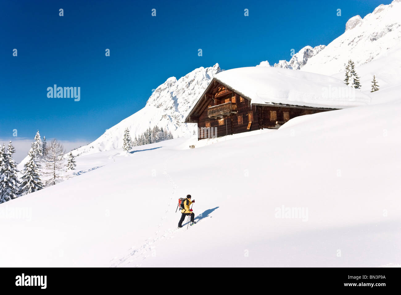 Woman on skis hiking on a slope, Muehlbach am Hochkoenig, Austria Stock Photo