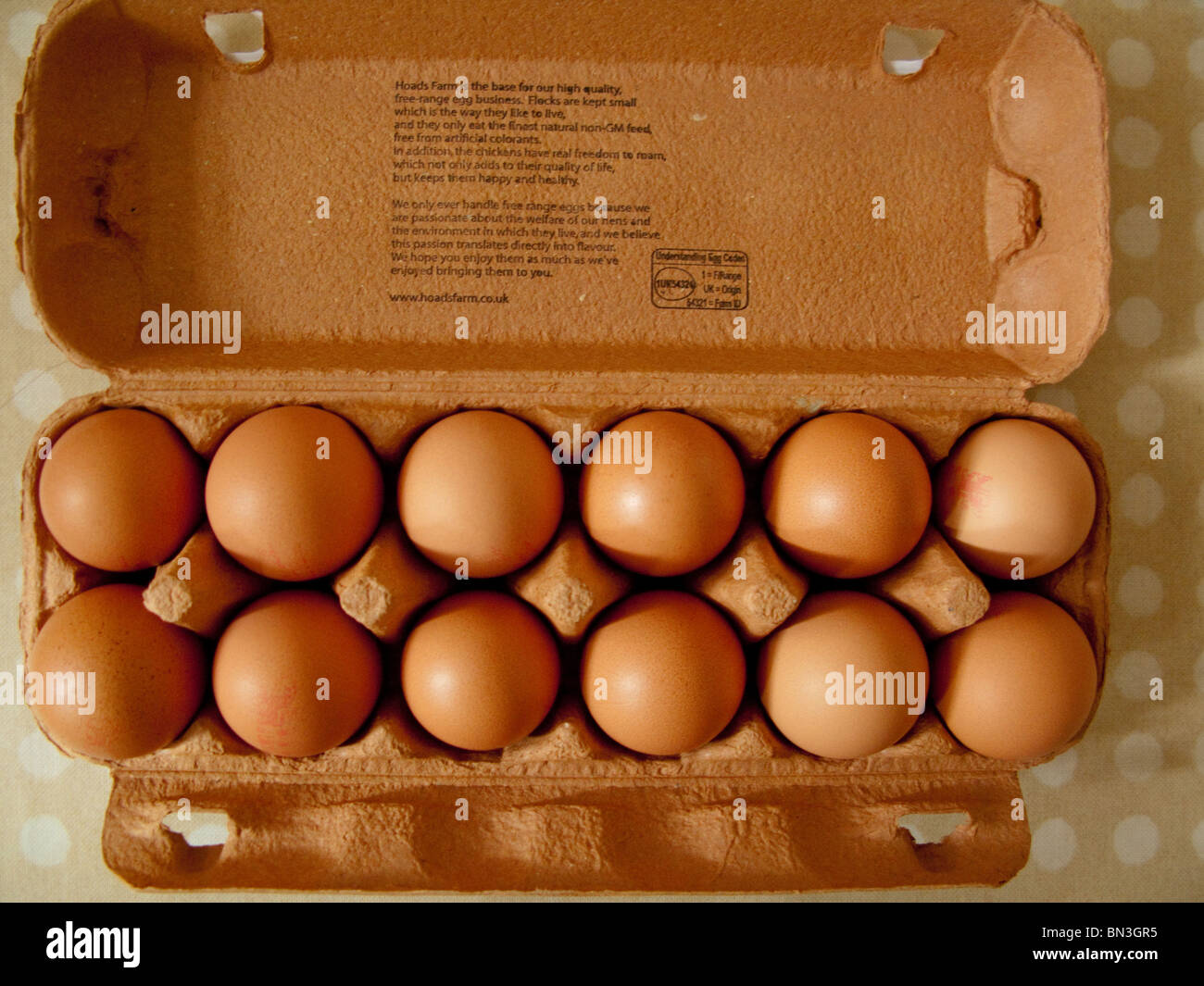 A dozen brown eggs in a carton on a kitchen table. Stock Photo