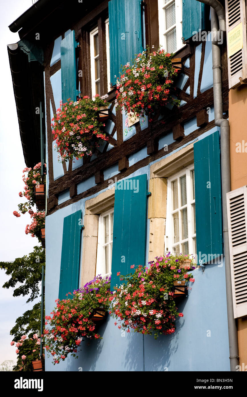 Flowers blooming in flower boxes at the windows of a house, Petite