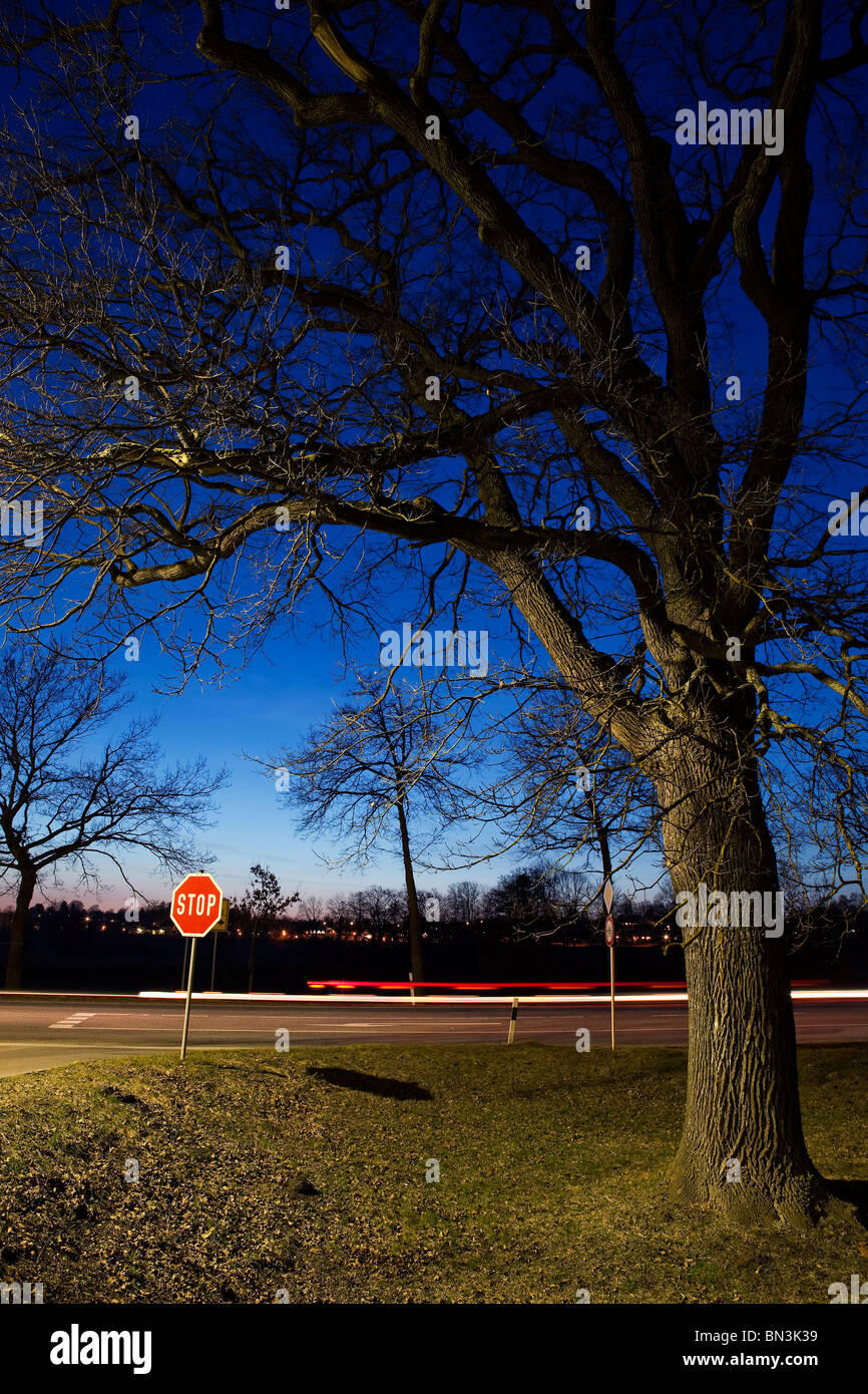 Stop sign and oak tree at a roadside Stock Photo - Alamy