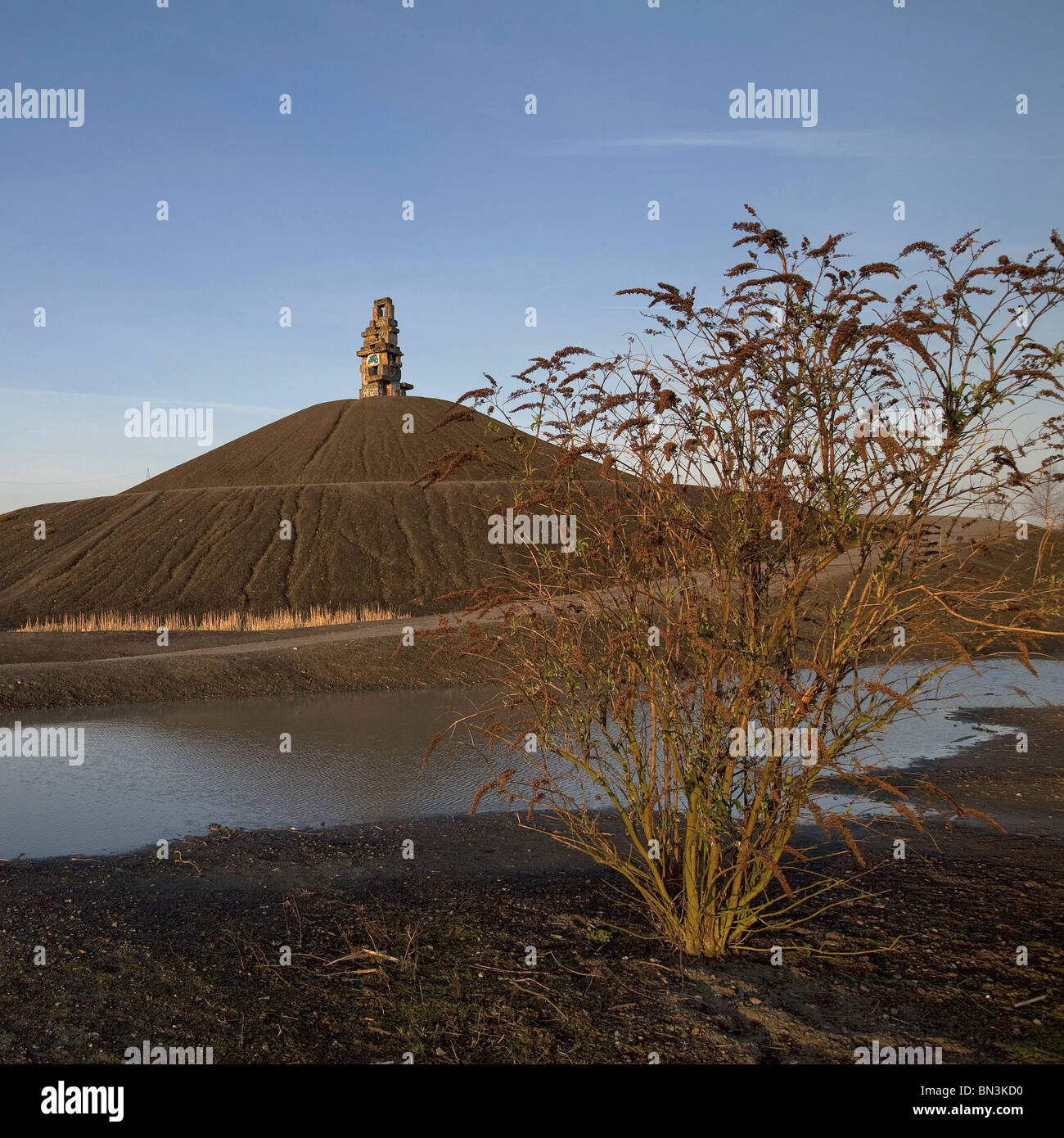Halde Ras From the halde rheinelbe hi-res stock photography and images - Alamy