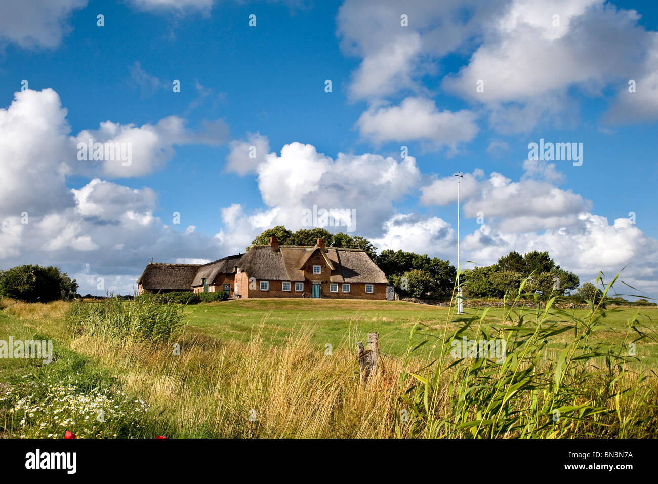 Thatched-roof house in Morsum, Sylt, Germany Stock Photo