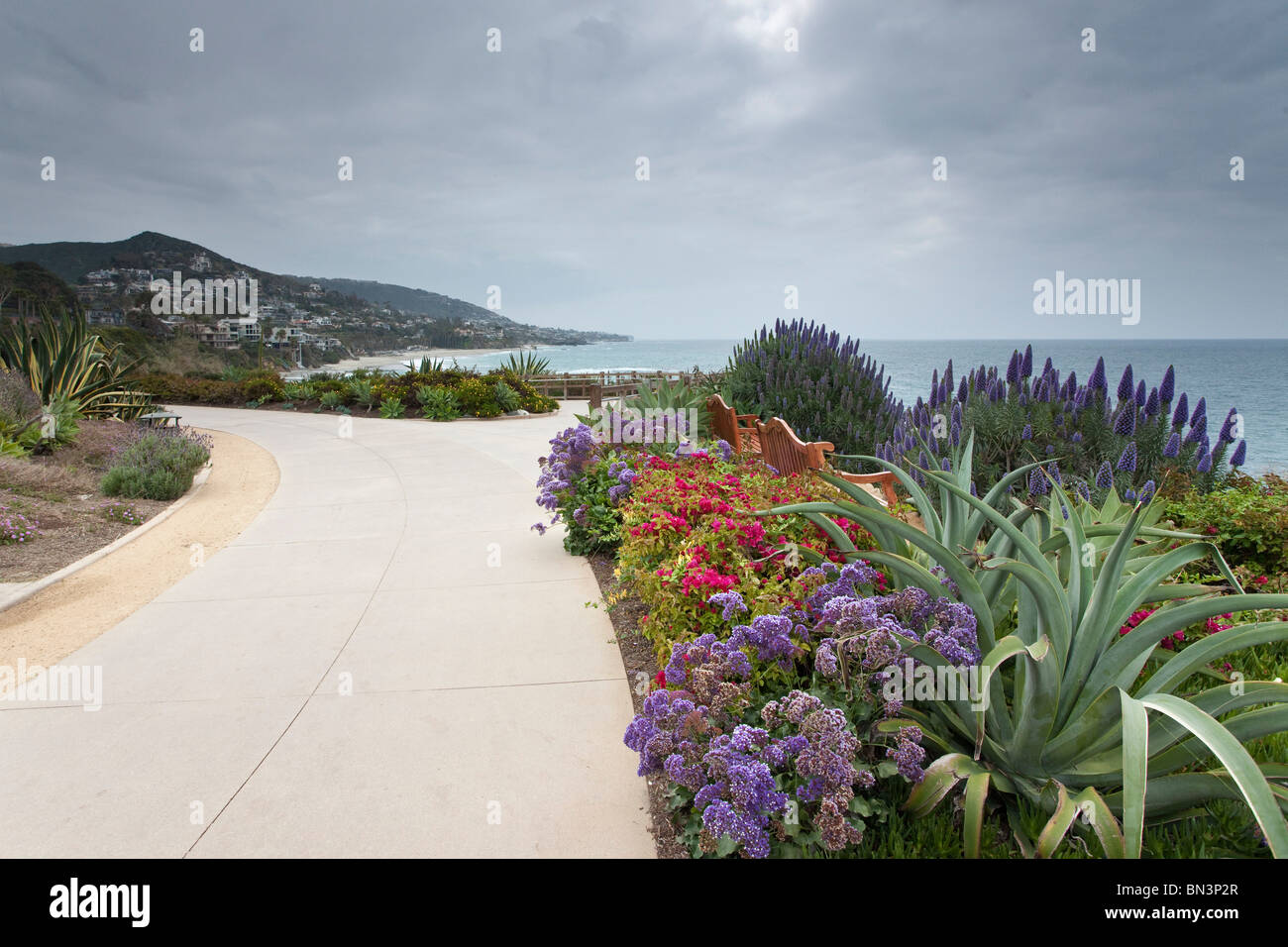Flowers and benches at a path, California, USA, elevated view Stock Photo