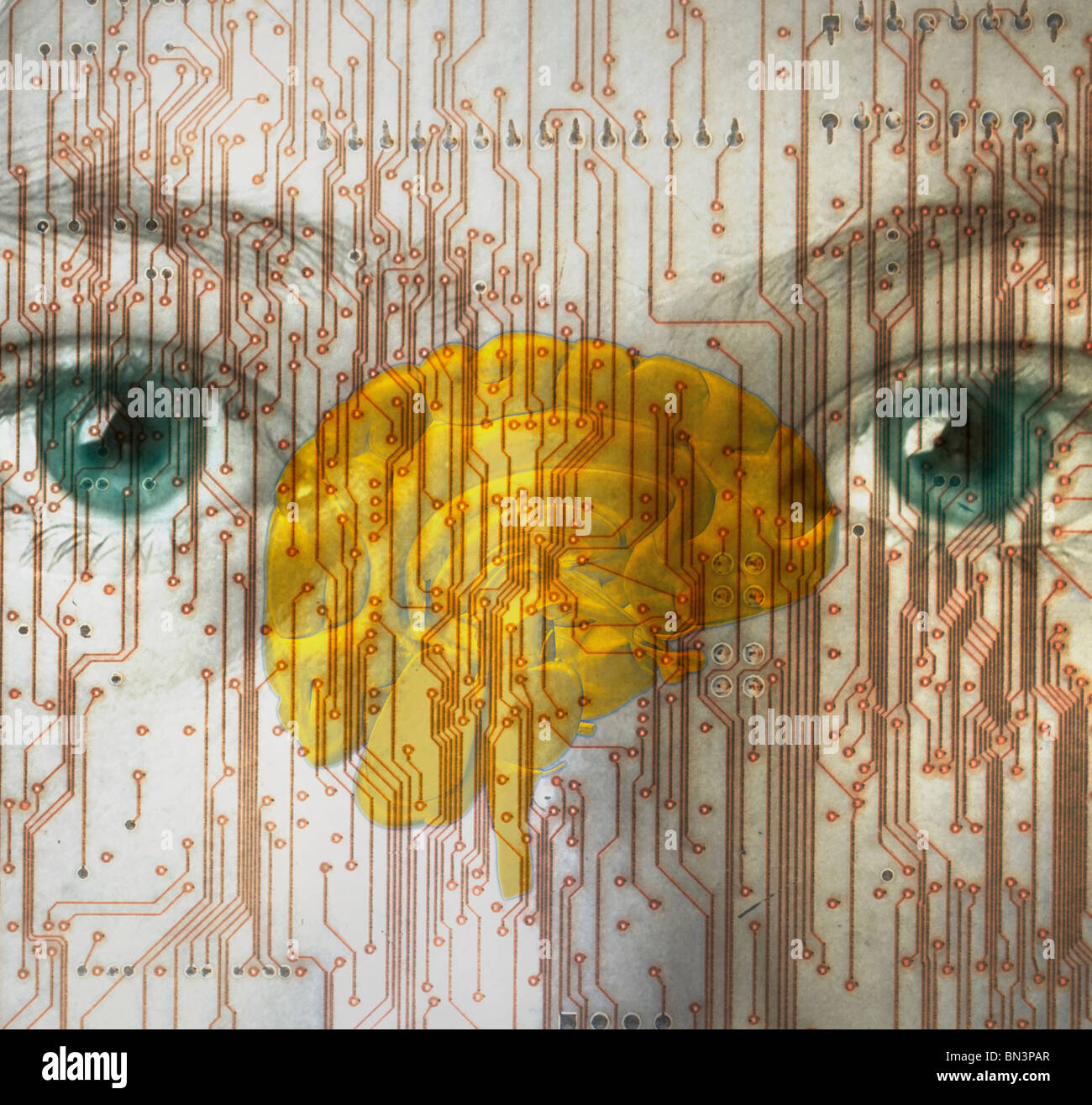 computer circuit board and the human brain superimposed over a photograph of a girl Stock Photo
