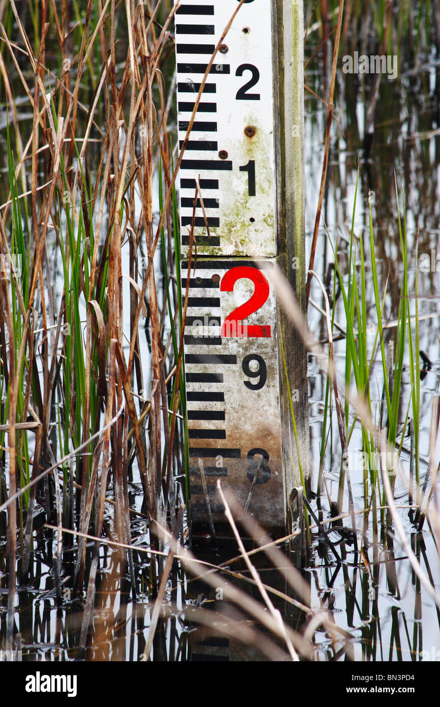 Water level marker in overgrown stream Stock Photo