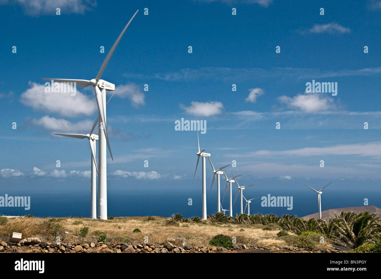 Wind park Eolico, Lanzarote, Canary Islands, Spain, Europe Stock Photo