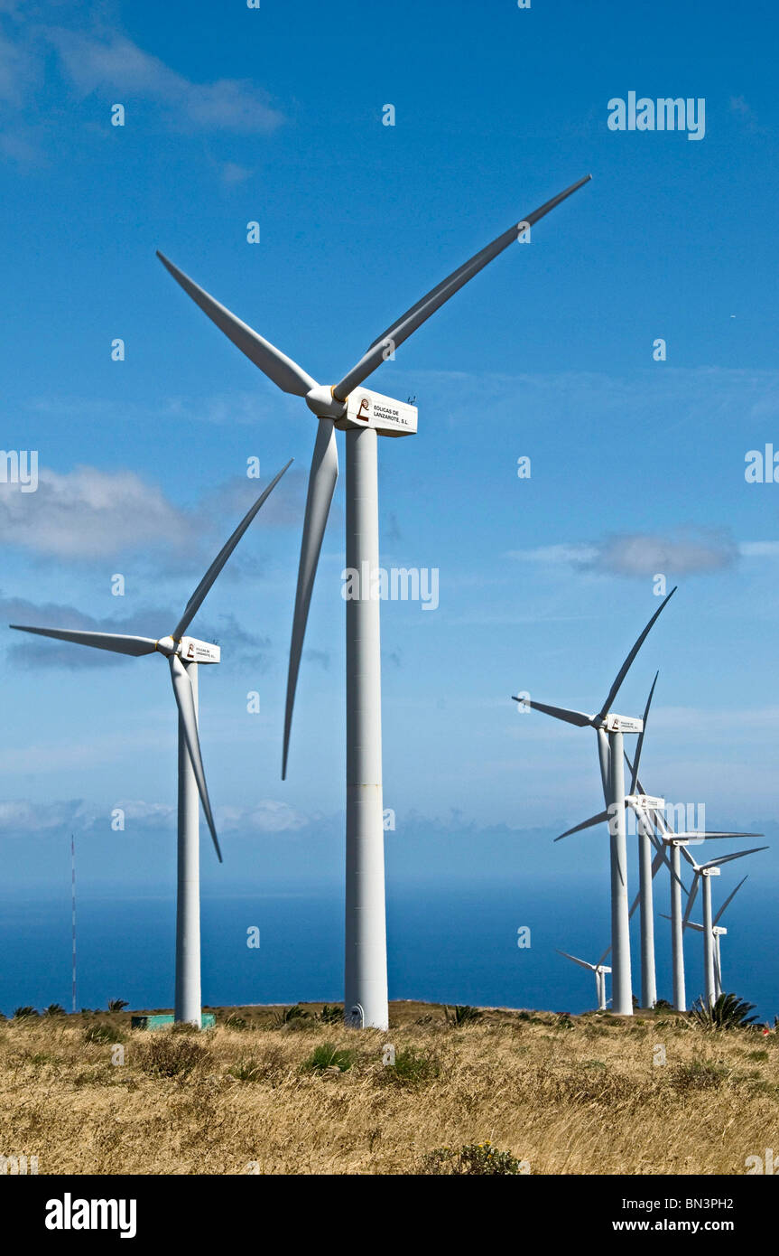 Wind park Eolico, Lanzarote, Canary Islands, Spain, Europe Stock Photo