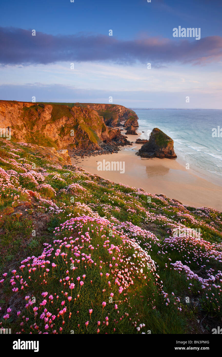 Late spring at Bedruthan Steps on the Atlantic coastline of Cornwall Stock Photo