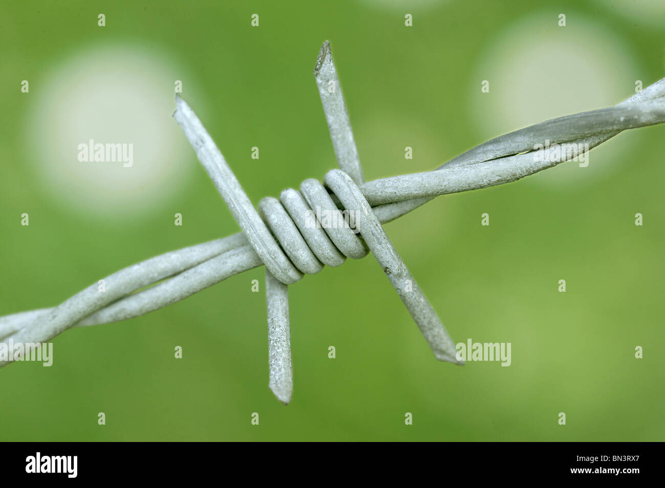 Close-up of barbed wire Stock Photo - Alamy